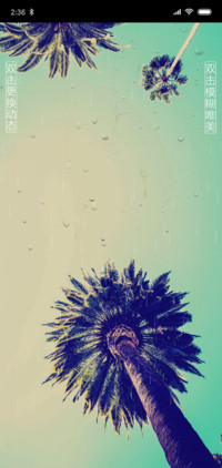 仰望椰树