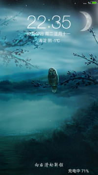 月下猫头鹰