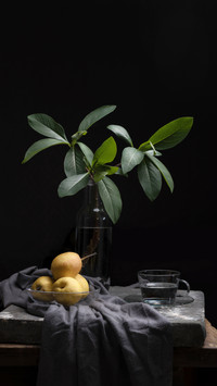 How to Determine whether Plants Like Light 5
