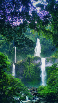 Waterfalls in the forest