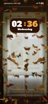 Butterfly
