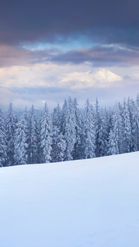 The most beautiful winter in the works of famous writers