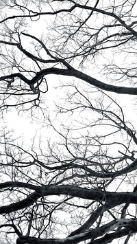 Black and White Photography Art