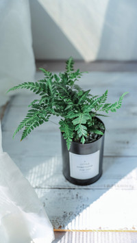 Green plant selection method