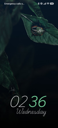 Tiny Guardian