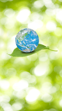 What will happen to the earth without the sun 0