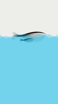 大鱼没有海棠