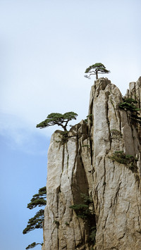 不一样的风景