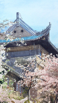 艺术家杨帆作品