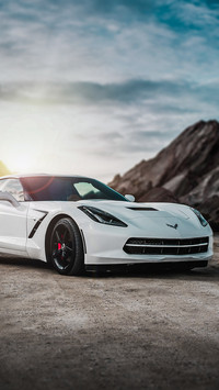 科尔维特Stingray