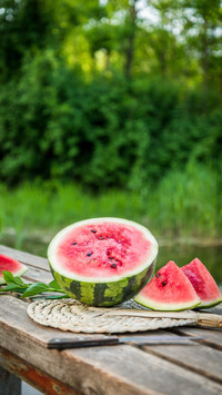 The best partner in summer