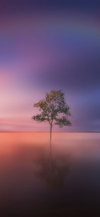 简约唯美绚丽风景壁纸-锐景创意
