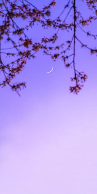 Purple Style4.jpg