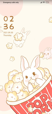 Rabbit popcorn
