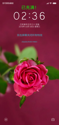 爱情花怒放