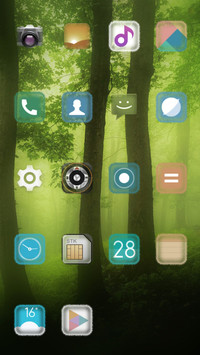 Foggy Forest