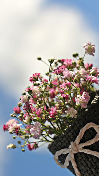 bouquet (1)