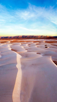 Pure Wind Desert