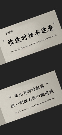 恰逢时枯木逢春
