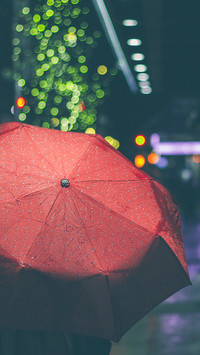 Umbrella story (8)