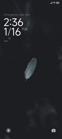 Feather