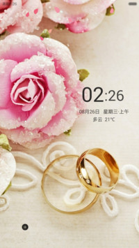 心动一刻（花瓣动态效果+全图标）