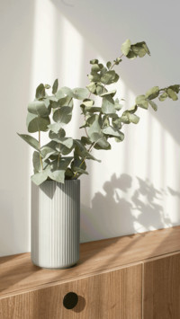 Still life of plants