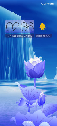 冰雪莲