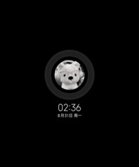 IP27ins 可爱puppy