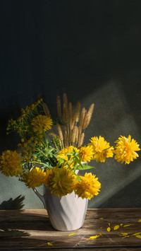 The wonderful use of Chrysanthemum in life 93