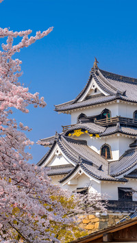 Japanese architecture