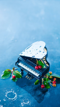 Exclusive piano music of twelve constellations 83