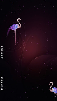 瑰丽