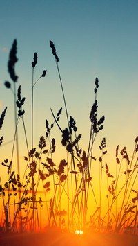 Sunrise and sunset