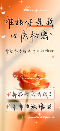 唯独你是我心底秘密