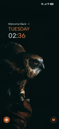 Night Owl
