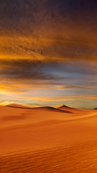desert