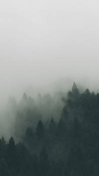 绿野仙踪