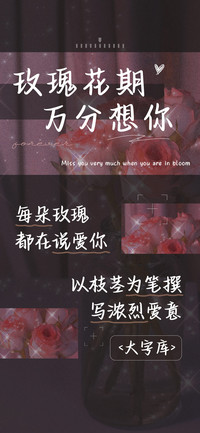 玫瑰花期万分想你