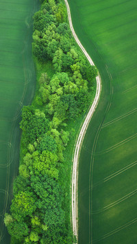 Chinese Agriculture You Dont Know 1