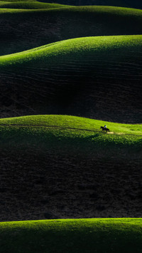 Silhouette on the grassland