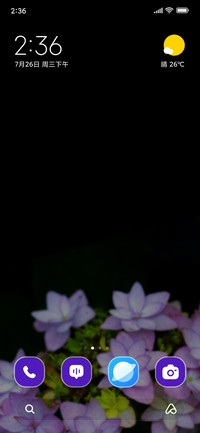 Wild Flower
