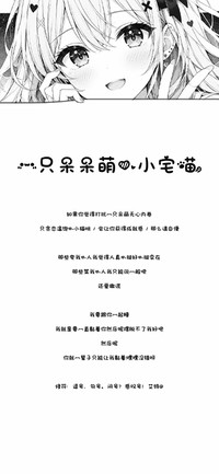 一只呆呆萌的小宅喵