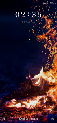 Fire Action_3MDS