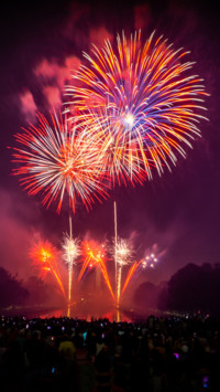 Fireworks (12)