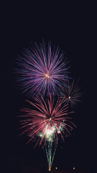 Fireworks (14)