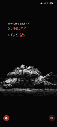 Silent Turtle