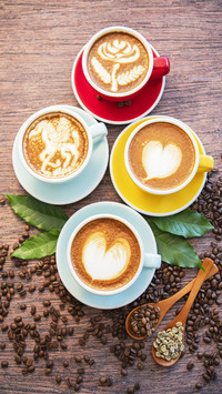How coffee beans become coffee 72