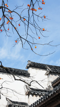 徽派建筑的前世今生
