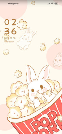 Rabbit popcorn